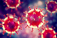 10 фактов о коронавирусе